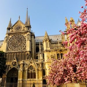 Meet your Posher, Mary-elizabeth